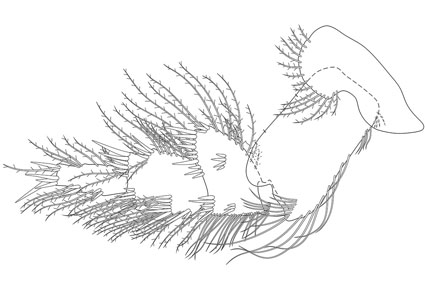 $publishedArticle->coverImageAltText