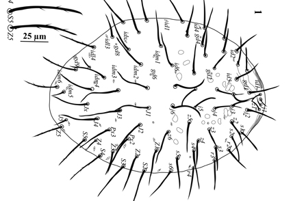 $publishedArticle->coverImageAltText