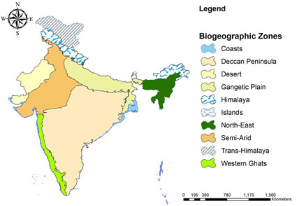 A catalogue of Indian Pyraloidea (Lepidoptera) Zootaxa