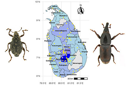 $publishedArticle->coverImageAltText