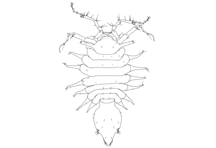 $publishedArticle->coverImageAltText