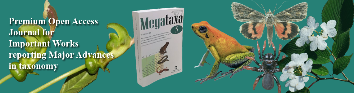 Megataxa Banner Image